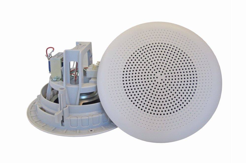 Ceiling Speaker Mounted in Theatre Ceiling to Talk to Theatre Staff
